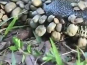 �ܲ�ͨ�㲢���ʺ������� ����Ҫע����Щ������