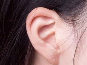 �����˳���������ܽ�������