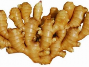 Ż������ô����� Ż�µ�����ƫ��