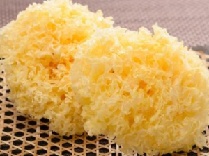 ʲô����ľ������ �����ѡ����ľ��