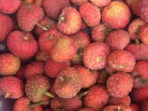 ����ӵĹ�Ч���� �������������