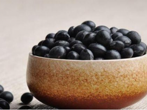 �ڶ���Ӫ����ֵ �����ѡ�ڶ���