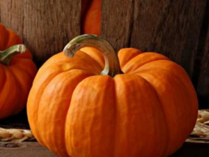 �Ϲϴ������ ��Щʳ�ﲻ�����Ϲ�һ���