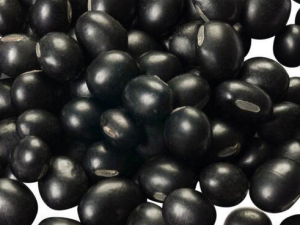 ����������ε��� ��Щʳ������˲���