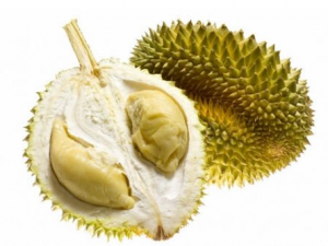 ����������ʲôһ��ʳ�� ������ʳ�ý���