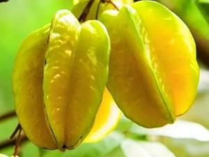 �����õ����ܳ������� �����õ��˵���ʳ����