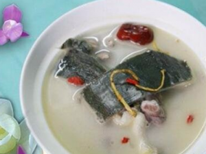 ��������Щ���� ���������Ӫ��