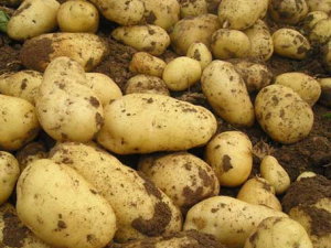 ���������ĳ���������֪ ���˽������