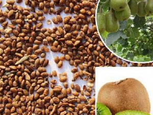 ���˲��������彡�� �����������ķ���������Щ