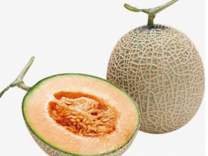 ���ܹϵ�ʳ�ý��� ���ܹϻ᲻������ע��������