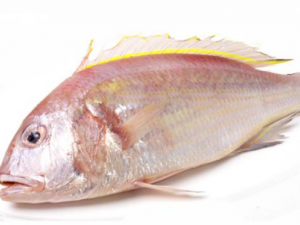 ������Ĺ�Ч���� �������������Ԫů������