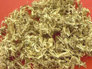 ߲ݸЩЧ  ߲ݸλҸʹ