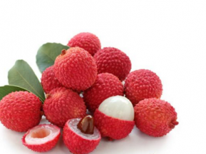 �������֦��Ҫע�������