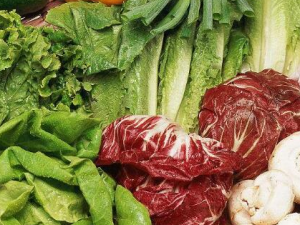 ������Ӧ�����ʳ �����ߵ���ʳ����