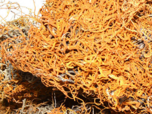 ��ˢ������Щ��Ч ��ˢ������ֹʹ�����