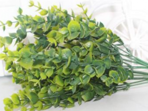 ��Ǯ��Ҷ������Щ��Ч ��Ǯ��Ҷ�����۴�