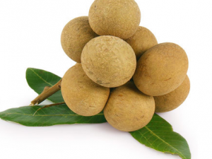 �и�����ʳ���� �и��ܳԹ�Բ��