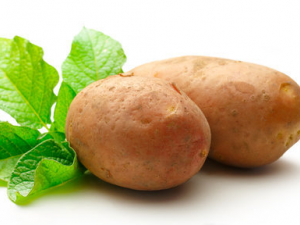 ��ѿ�������˻��ж� ��ѿ�������ܳ�