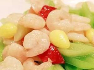 ��Щʳ��������������Ķ�����