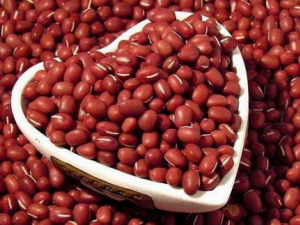 �춹���ߴ���� ���˽������