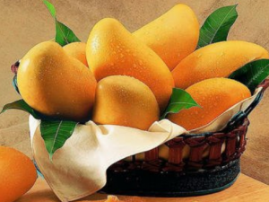 â�����ܺ�ʲôһ��� â����ʳ�ý���