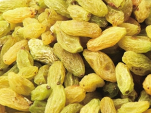 С�������Ѹ�ע������ С�������ѸɵĽ���