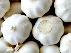 ���������ţƤѢ����洫�ط�