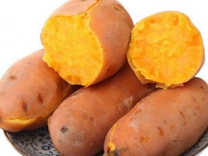 Ƣ����˳�ʲô�� Ƣ����˱����Щʳ��