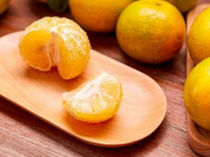 ��ζ���ӵ���ʳ���� ���˽������