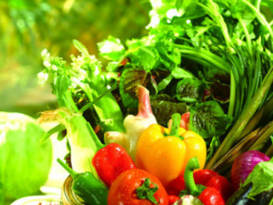 ���˺�ʲô����ͬ�� ���˵Ĵ������