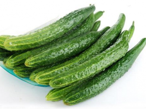 �ƹϵĴ������ �ƹϲ�������Щʳ��һ���