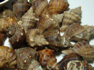 ������Щ��λ���ܳ� ���ݵ�ʳ�ý���