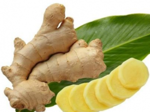 �Խ�ҲҪע��4������ ��Щ�˲��˳�����