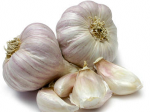 ��Щ�˲��˳Դ��� ����Ĵ������