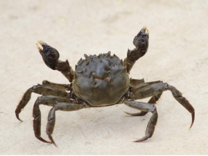 ���з��������� ���ѡ���з