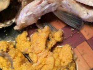 ����ͷ�Ĺ�Ч���� ����ͷ�ο�������