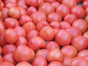 ��������ʳ�ý��� �������Զ����θ