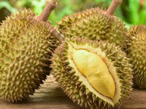 ��������Щ��Ч ������ʳ�ý���