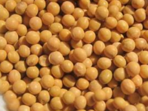 �˿ڻ�ŧ���ܳ�ʲô �˿ڻ�ŧ����ʳ����