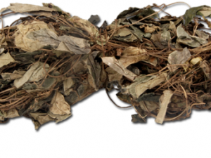 ����ݵĹ�Ч���� ������η�ʪ��������