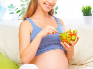 С�������ӵĻ������� С�������ӵ���ʳ����