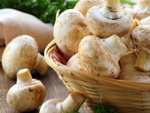 �Ҹ�С������ʲô�� �Ҹ�С��������ʳ����