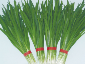 �²�����Щ���� �Ծ²˵ĺô�