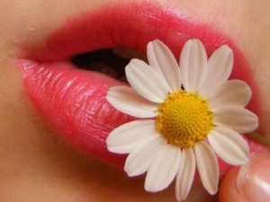 �촽������λ��� �촽���ѵĻ�������