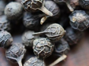 ����ѵĹ�Ч���� �������֧��������