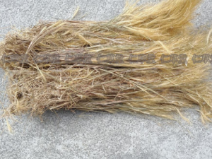 ������ʳ����֪���� ��������˽�������