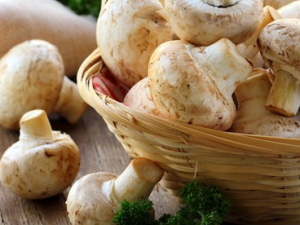 ���̴�ƫ�ߵ�Σ�� ���̴�ƫ����ε���