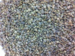 �����ӵĹ�Ч���� �����������Ŀ