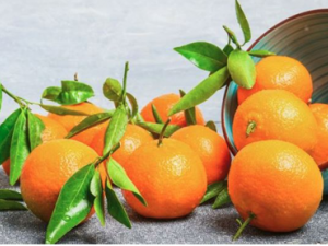 ҩ������ķ�Ӧ����Щ ҩ���������ʳ����