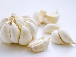 ���ԳԴ���Ľ��� ���˳������ᵼ�²���֢